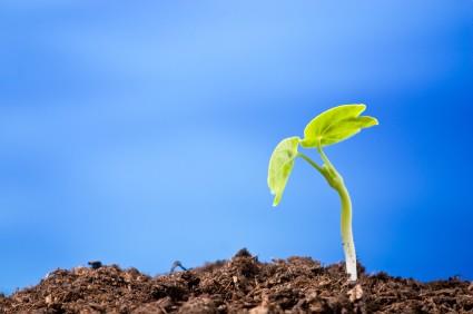 Real Estate Transactions Go Green 